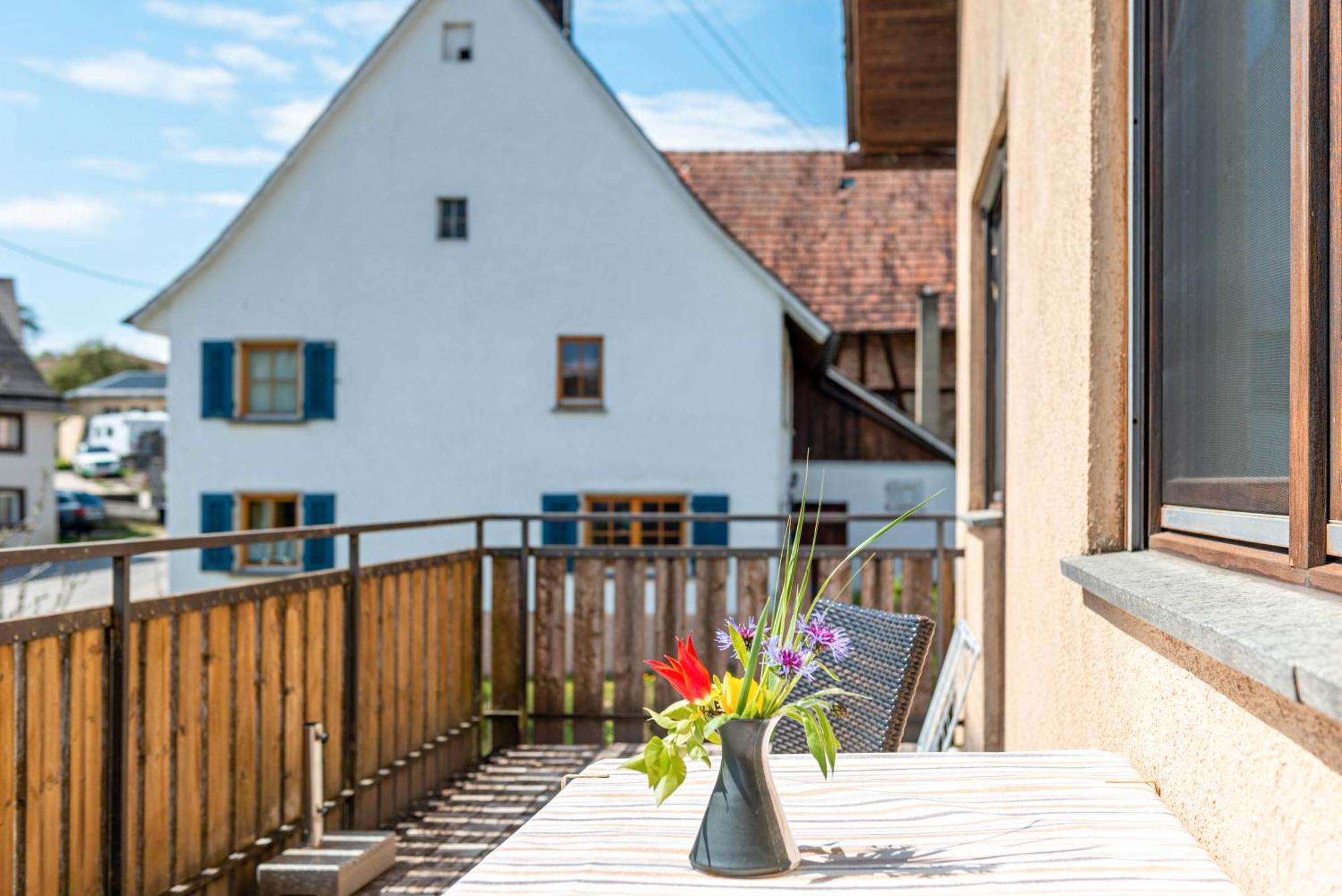 Vronis Ferienwohnungen Muhlingen Kültér fotó